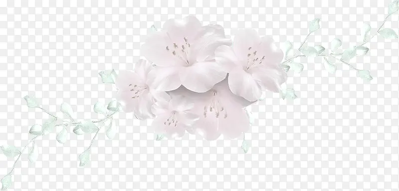 ֦��ͼƬ�ز�-������