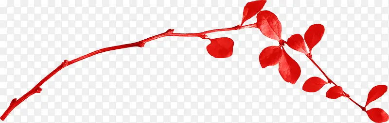 ��֦-������