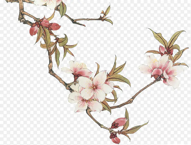 �ֻ��һ���֦-������