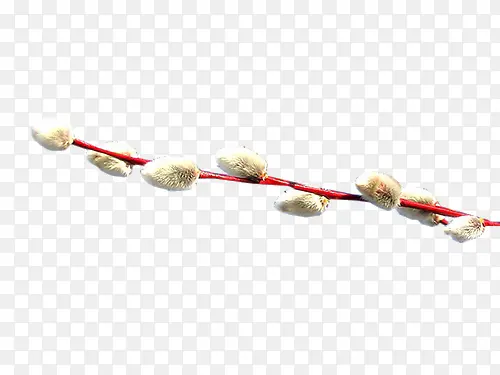 ��֦-������