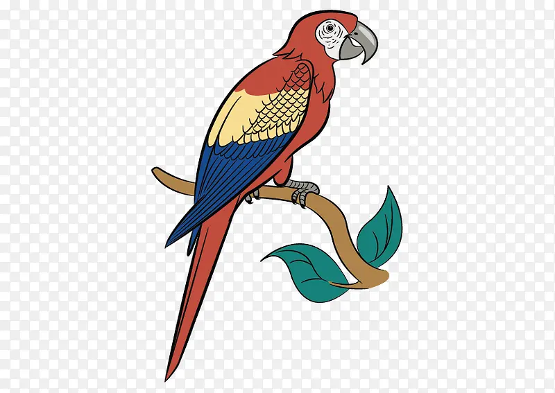 ʸ����ͨ����-������