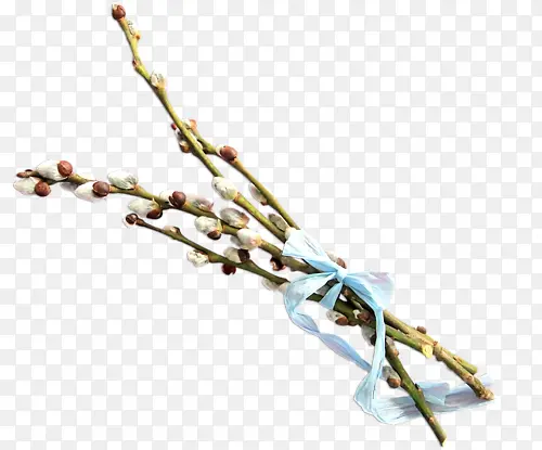 ��֦-������