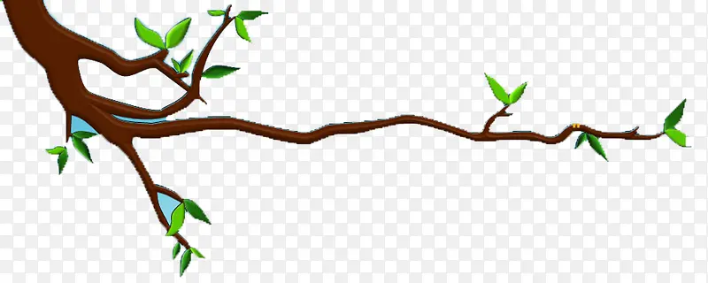 ��ͨ��֦-������