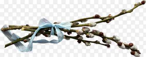 ��֦-������