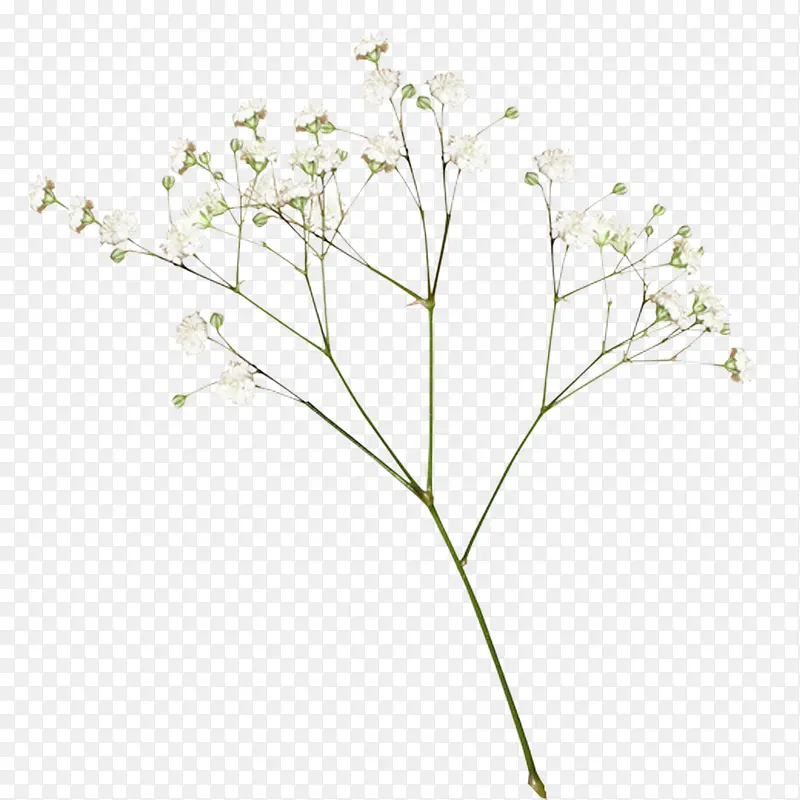 ֦��-������