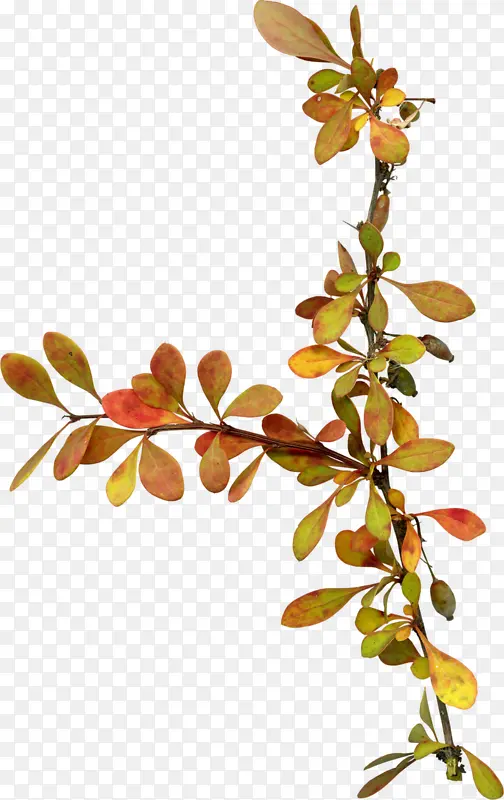 ��ͨͼ��-������