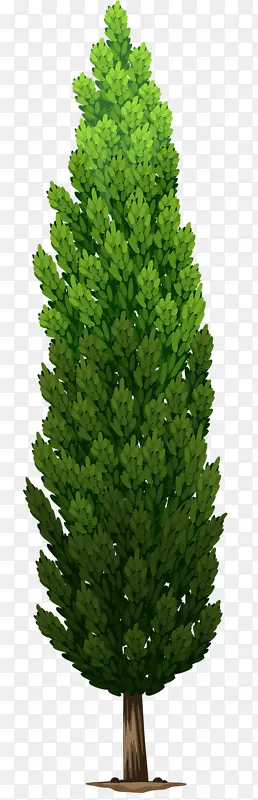 ��ͨ�ֻ�ֲ��-������