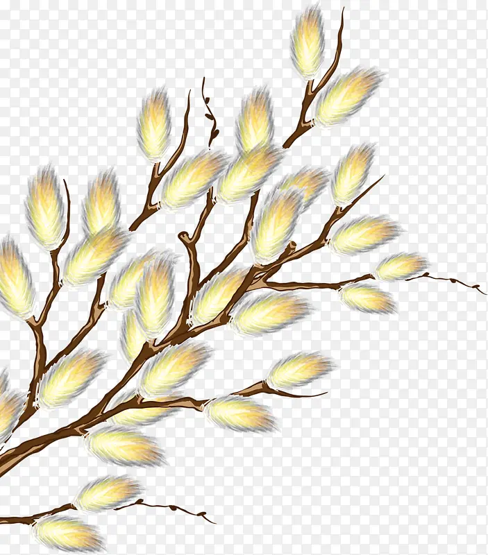 �ֻ���֦-������