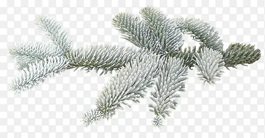 ��֦pngͼƬ-������