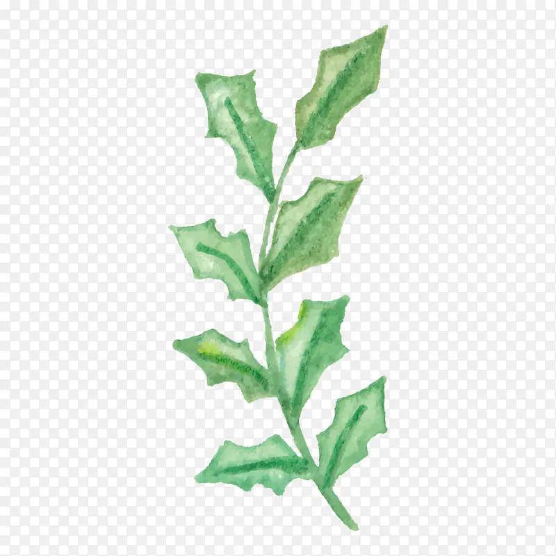 ʸ�������ز� ��ͨ�ֻ���֦-������