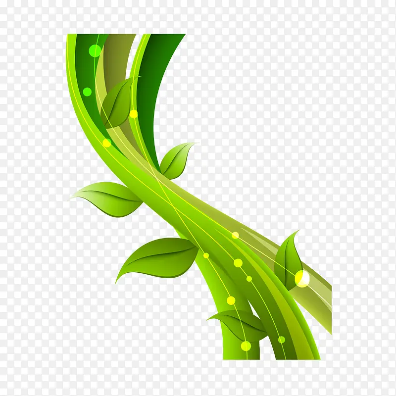 ����������Ҷ��֦֦��-������