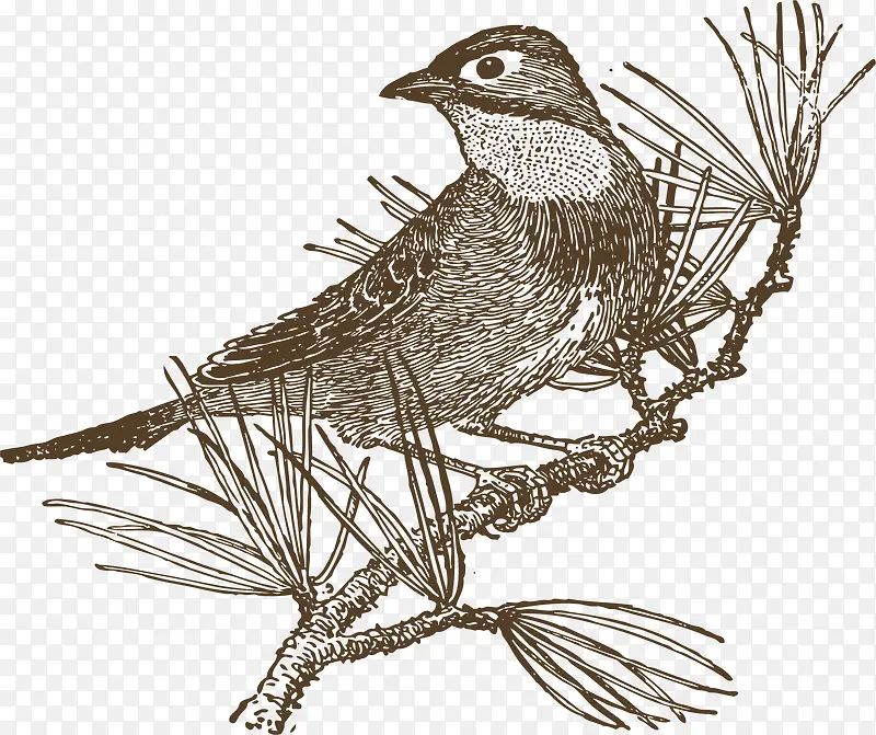 ��ͨ�ֻ���֦��С��-������