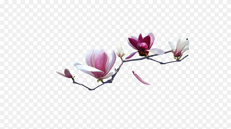 ��-������