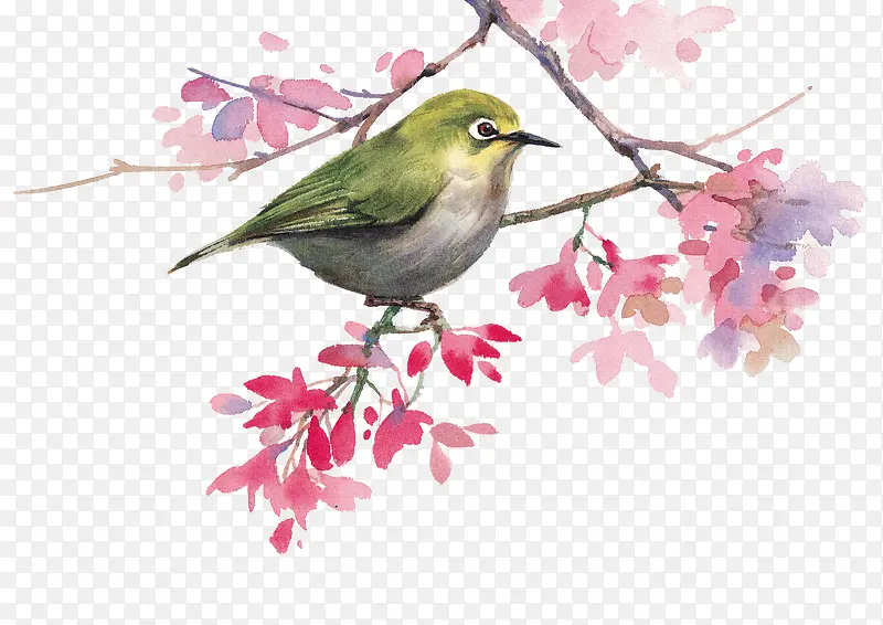 ֦Ҷ-������