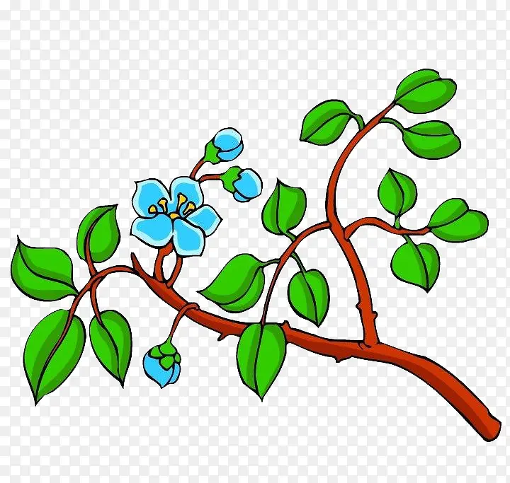 ��ͨ��֦-������