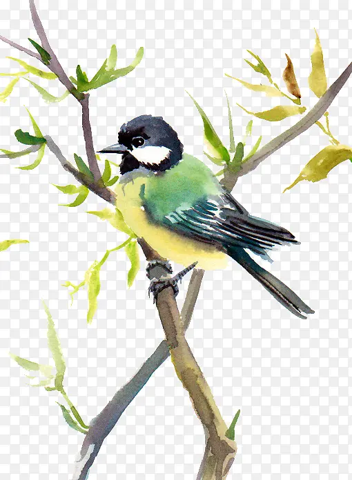 ����С��-������