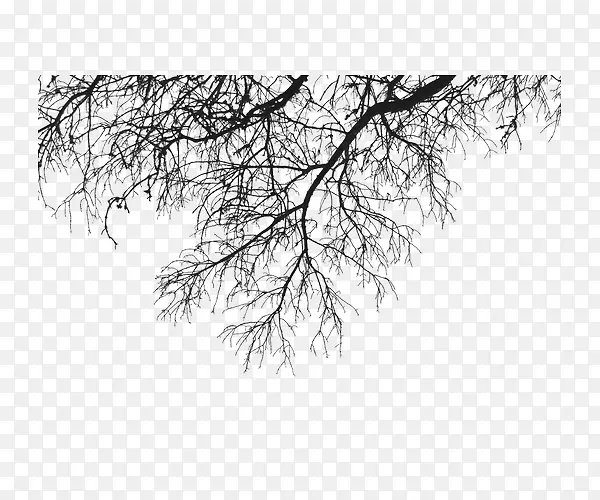 ��֦֦��װ��-������