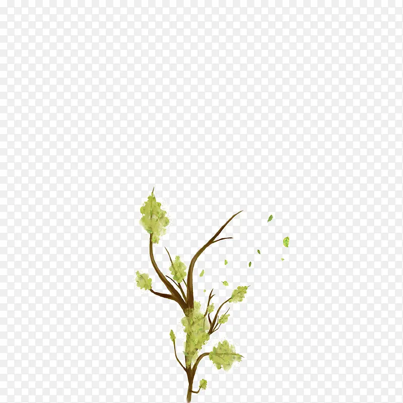 ��ɫ��֦-������