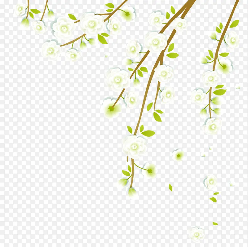 ˮ����֦-������