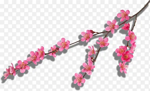 �߽��һ���֦-������