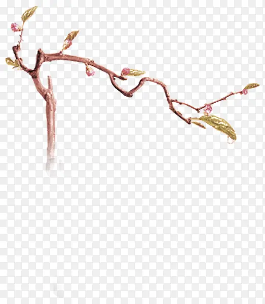 ��ѿ-������