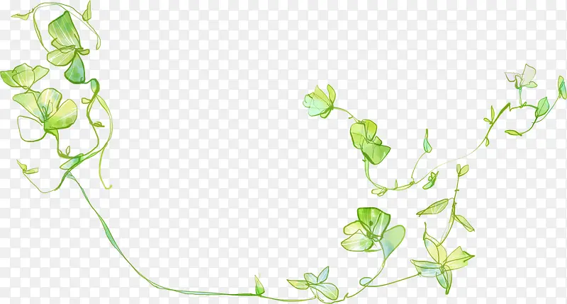 ��Ҷ֦��-������