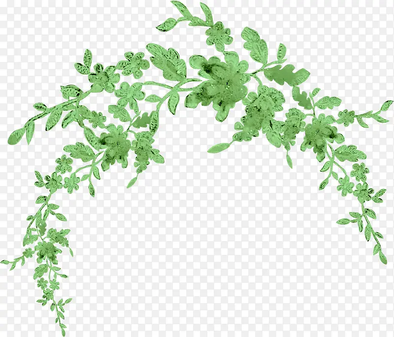 װ����ֲ-������