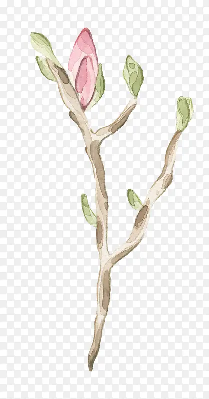 ��ѿ��֦-������