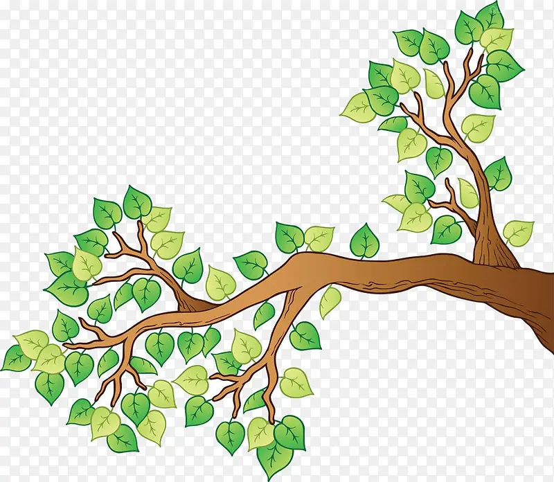 ��ͨ��Ҷ-������