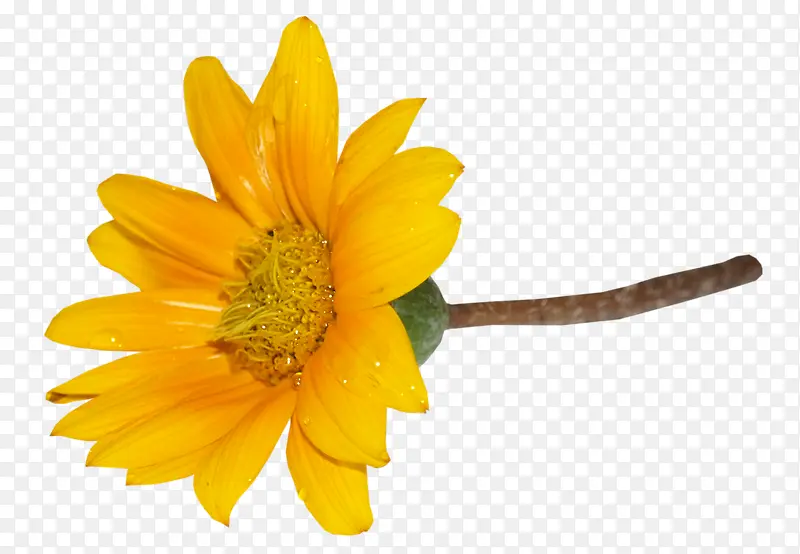 ��������-������