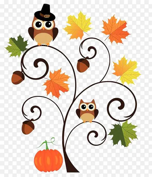 ��ͨ��֦�ϵ���-������