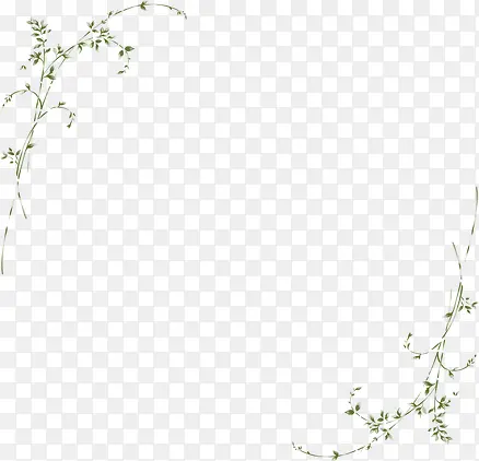 Ψ����֦�����߿�-������