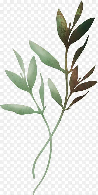 ֦Ҷ-������