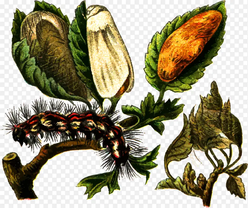 ëë��������-������