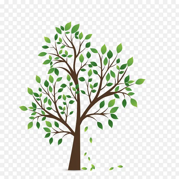 ��ͨ��ľ-������