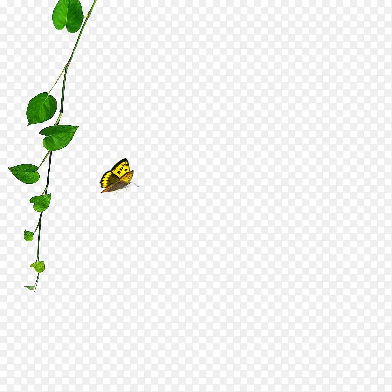 ��ɫ��ͼ�ز�-������