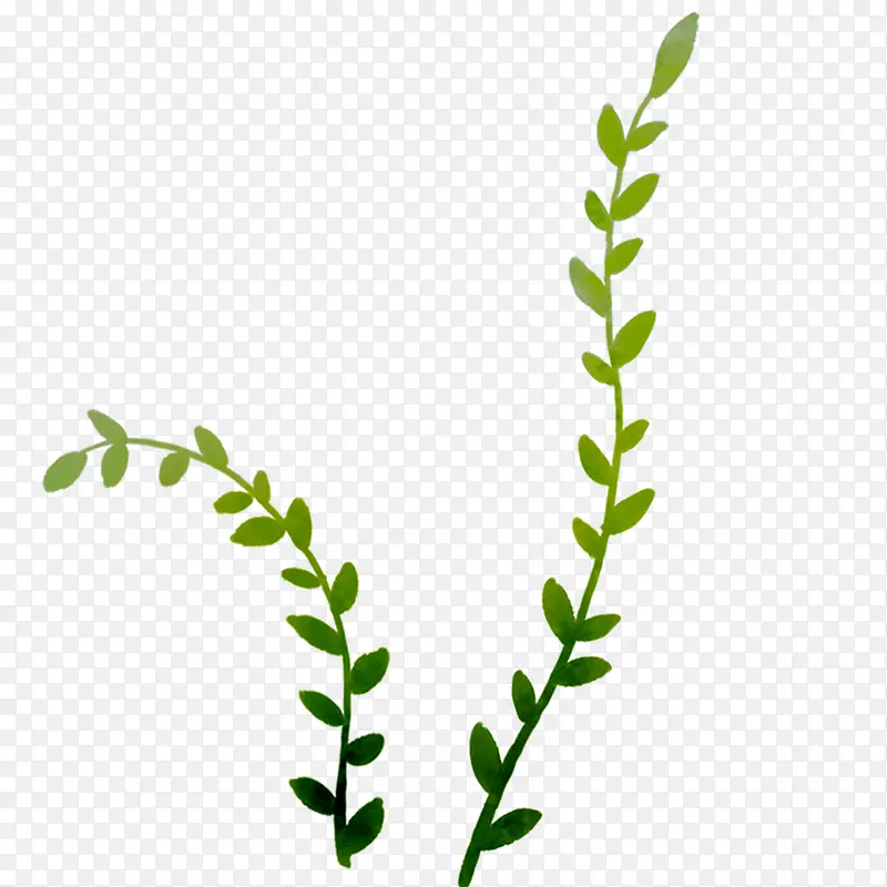 ֦��-������