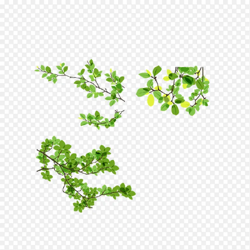 ��֦-������