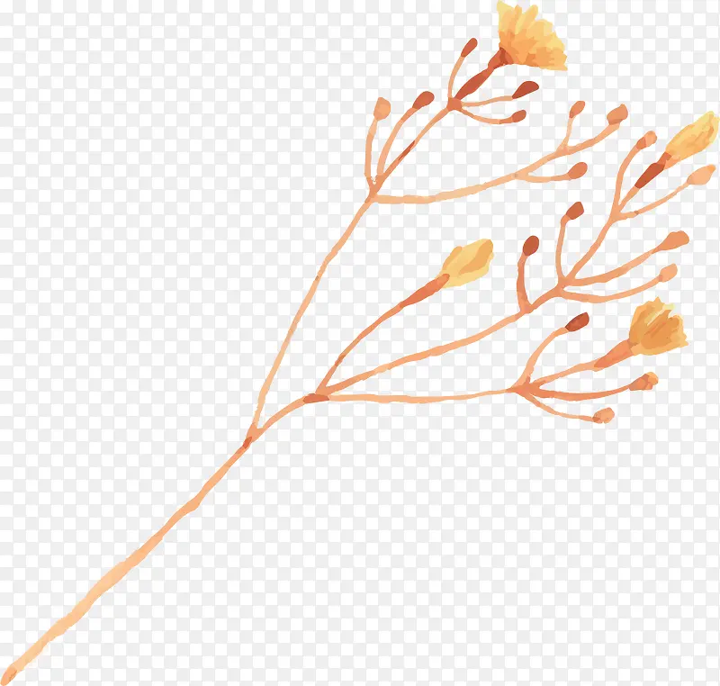 ��ͨ-������