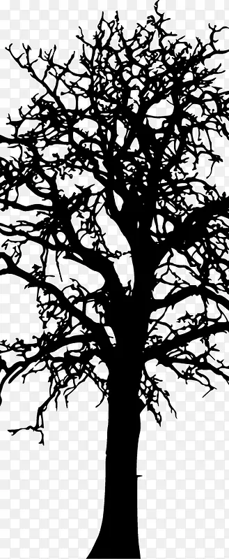 ��ͨ�ֻ���֦-������