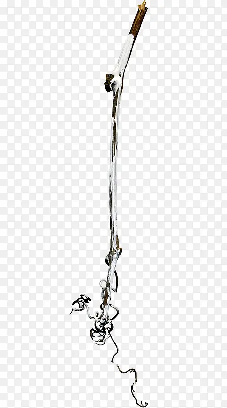 ����֦�ز�ͼƬ-������