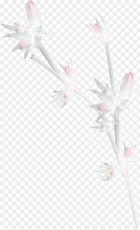 ��֦װ���ز�-������