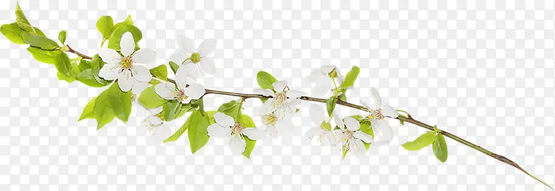 ��֦װ���ز�-������