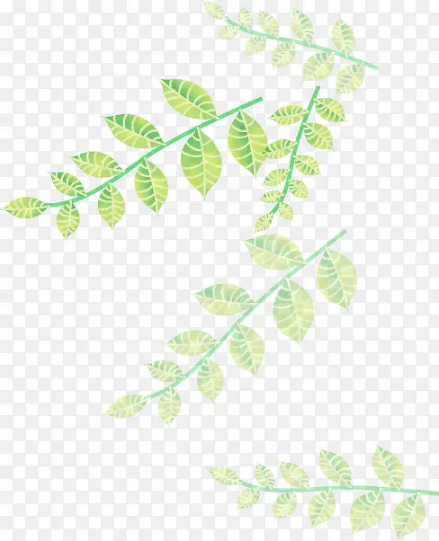 ��ͨ�ֻ�������֦-������