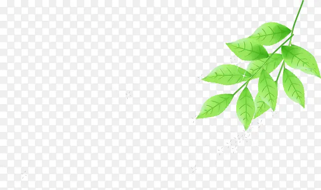 ��ͨ���´�����Ҷ��֦-������