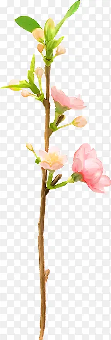 ������֦-������