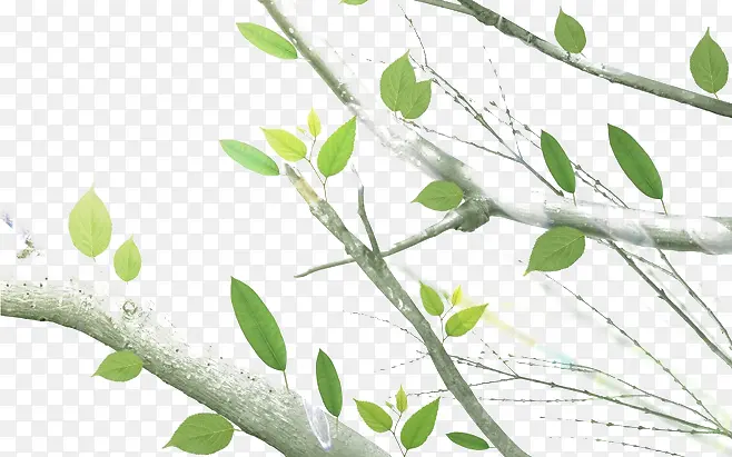 ��֦-������