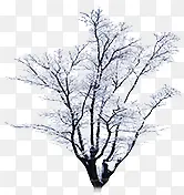 ������֦֦Ѿ-������