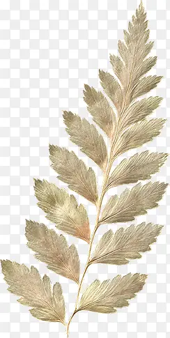 ήҶ�ز�ͼƬ-������