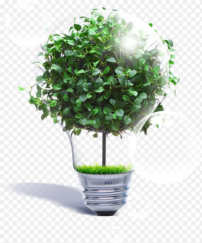 ��֦����-������